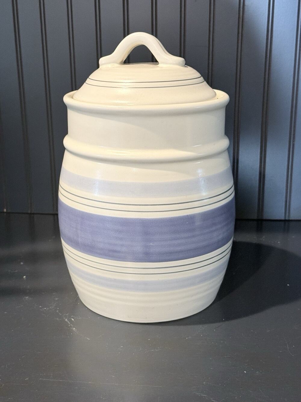 Pfaltzgraff RIO Ivory Blue Stripe Stoneware Large Canister & Lid With Seal 10.5"